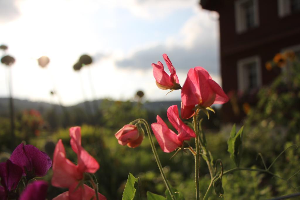 B&B Hofgenuss Ganterschwil Exterior photo